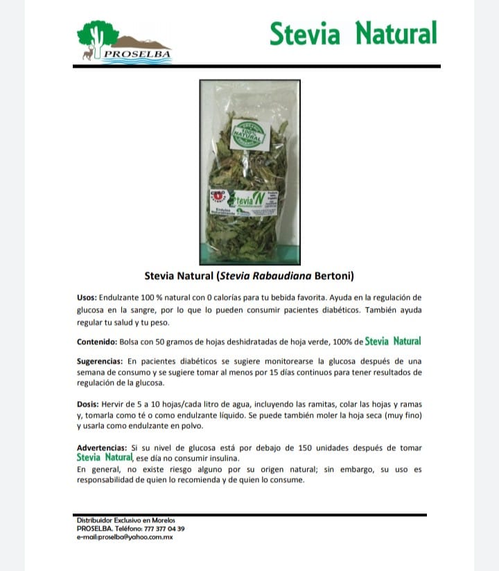 Stevia hoja